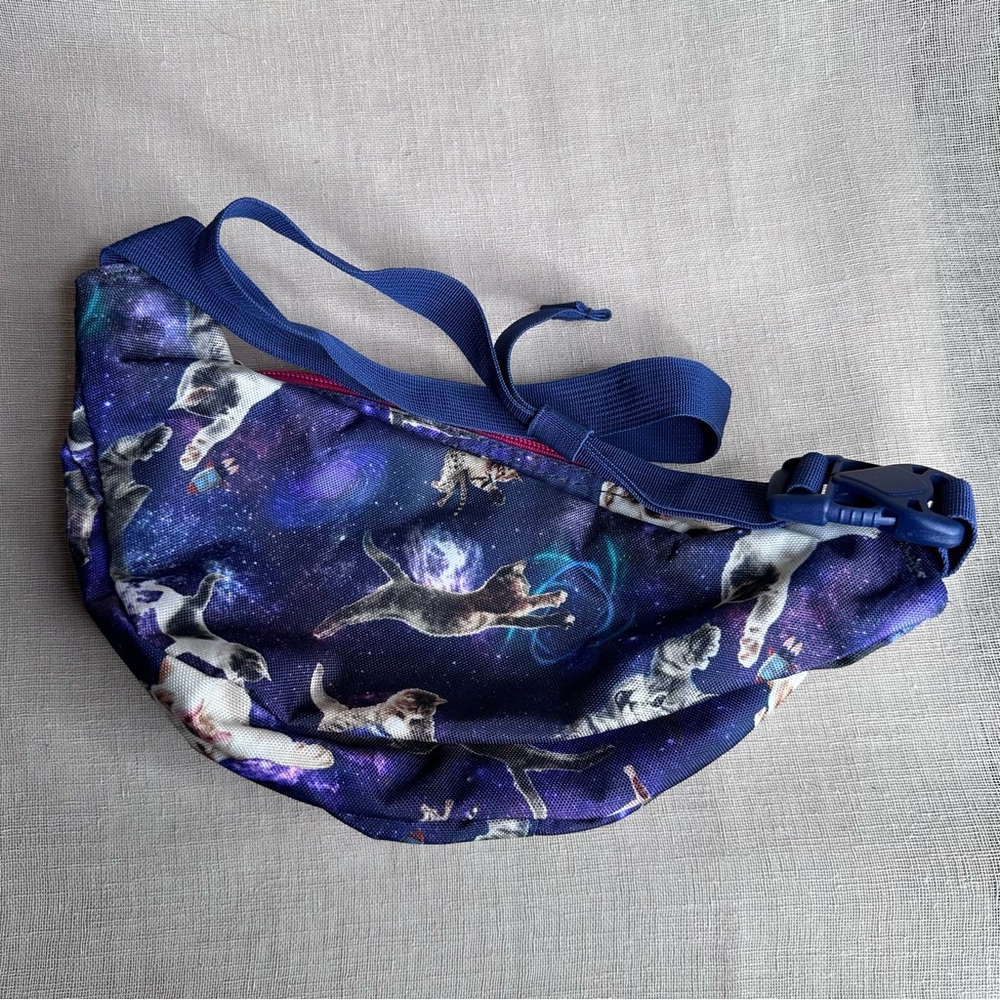 Jansport Galaxy Cat Dog Fanny Pack - Blue and Pink - Picture 3 of 8